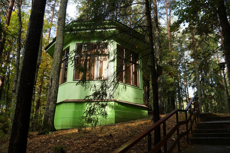 Смотровая беседка