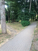 «Нижний парк»