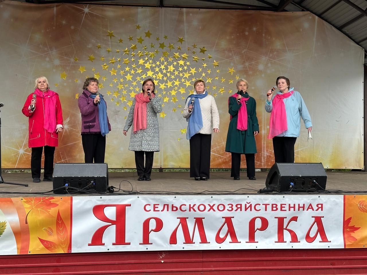 Межрайонная сельскохозяйственная ярмарка «Ловатская»