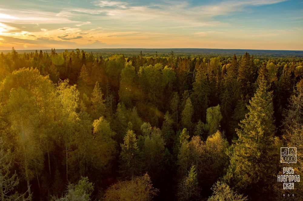 Экология природы - экология души