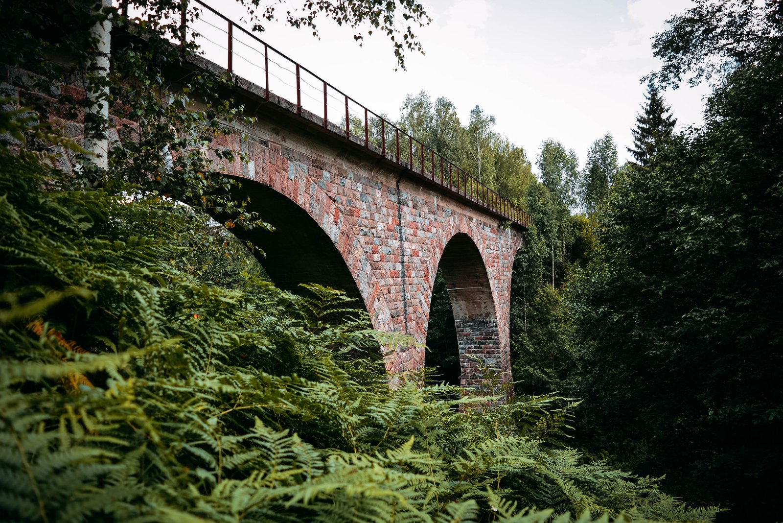 Крестцы
