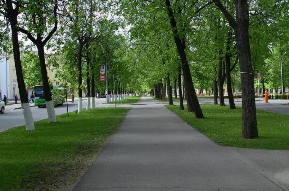 Улица Чудинцева
