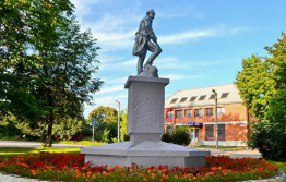 Боровичи
